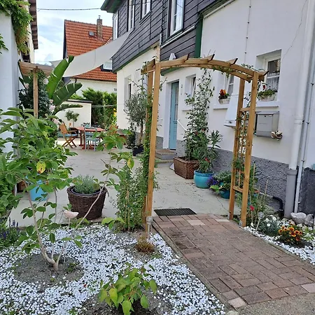Cozy Daire Altenbrak
