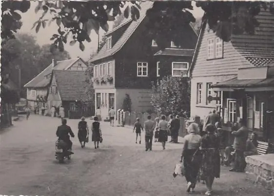 Cozy * 阿尔滕布拉克